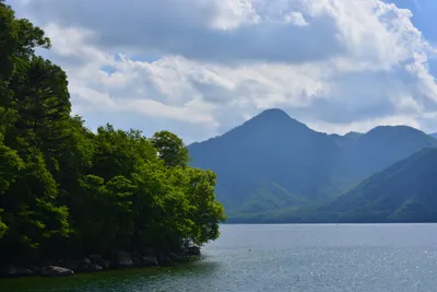 DSC_3944 (Large).JPG